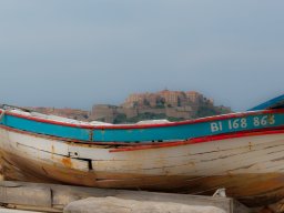 Calvi29