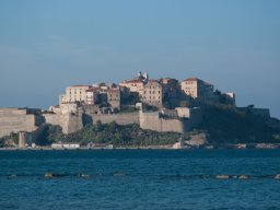 Calvi77