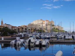 Calvi84